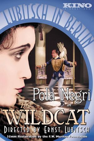 The Wildcat's poster