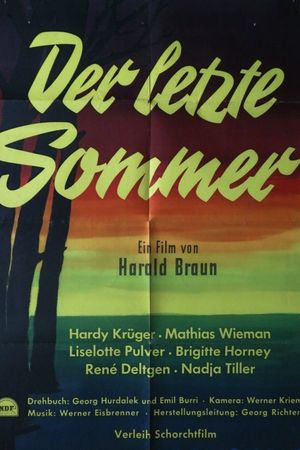 The Last Summer's poster