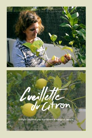 Cueillette du citron's poster