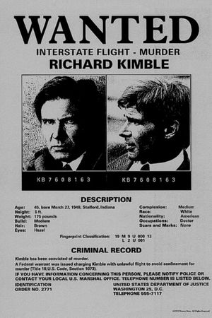 The Fugitive's poster