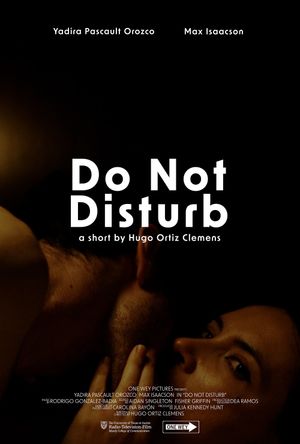 Do Not Disturb's poster