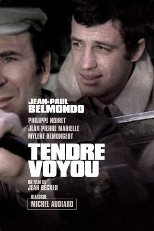 Tender Scoundrel's poster