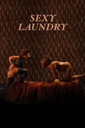 Sexy Laundry's poster image