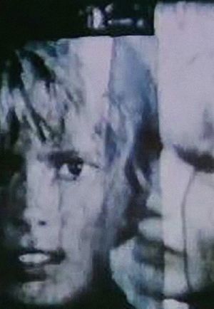 Her Fragrant Emulsion's poster
