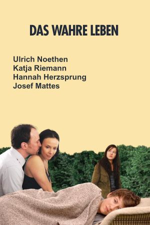 Life Actually's poster