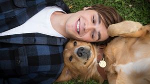 A Dog's Purpose's poster