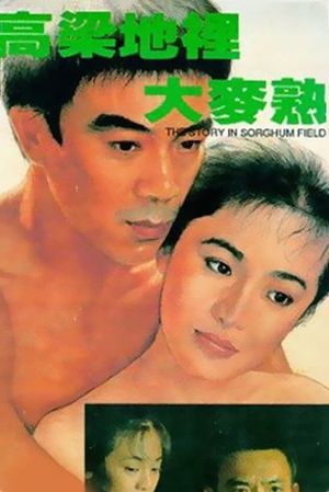 Gao liang di li da mai shou's poster