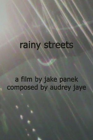 rainy streets's poster