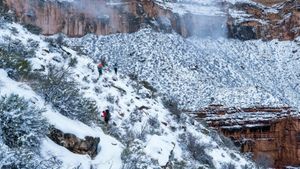 Into the Canyon's poster