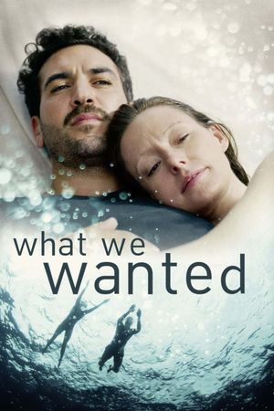 What We Wanted's poster