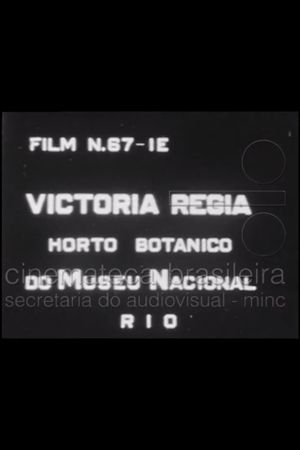 Victória Régia: Horto Botânico do Museu Nacional's poster image