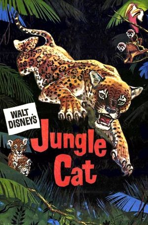 Jungle Cat's poster