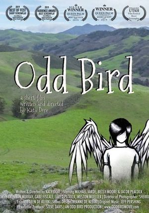 Odd Bird's poster