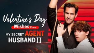 My Secret Agent Husband 2's poster