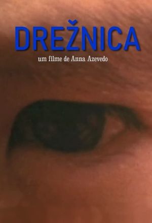 Dreznica's poster