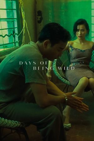 Days of Being Wild's poster