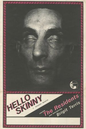 Hello Skinny's poster