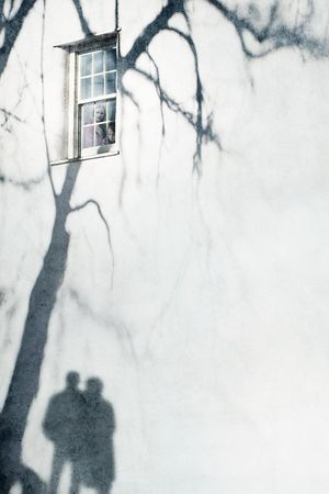 The Visit's poster