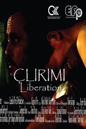 Liberation's poster