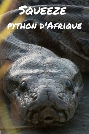 Squeeze: African Python's poster