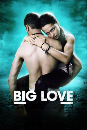Big Love's poster image