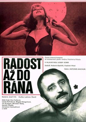 Radost az do rana's poster