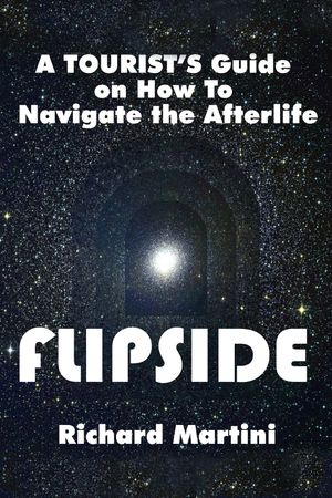 Flipside: A Journey Into the Afterlife's poster