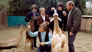 The Beach Boys: Making Pet Sounds's poster