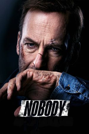 Nobody's poster