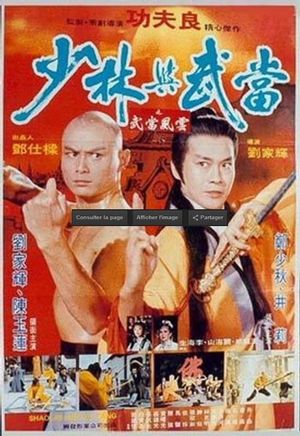 Shaolin and Wu Tang's poster