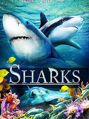 Sharks (in 3D)'s poster