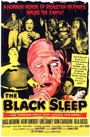 The Black Sleep's poster