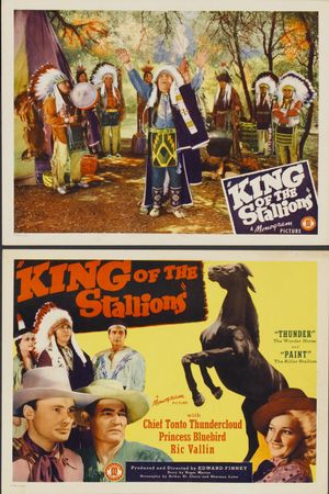 King of the Stallions's poster