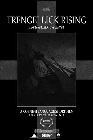 Trengellick Rising's poster