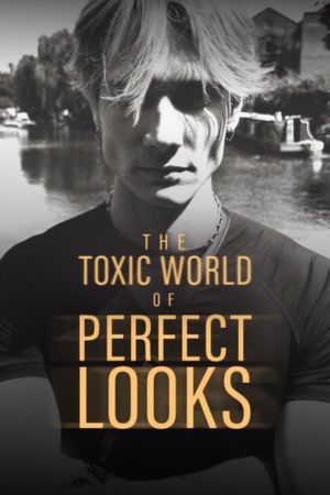 The Toxic World Of Perfect Looks's poster