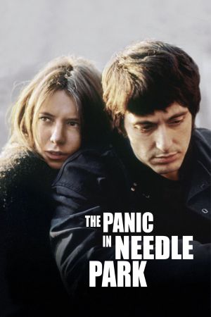 The Panic in Needle Park's poster