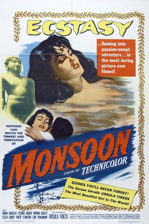 Monsoon's poster