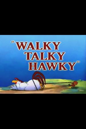 Walky Talky Hawky's poster