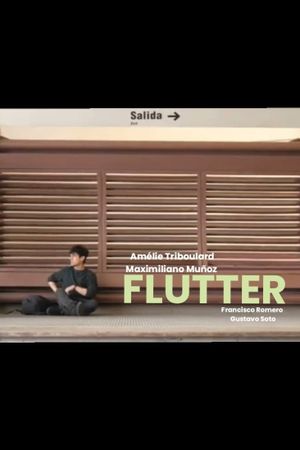 Flutter's poster