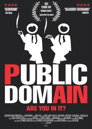 Public Domain's poster