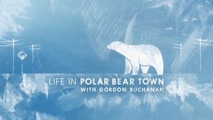 Life in Polar Bear Town with Gordon Buchanan's poster