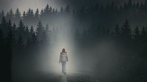 The Girl in the Fog's poster