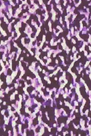............ (ellipsis, ellipsis, ellipsis...)'s poster
