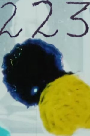 223's poster