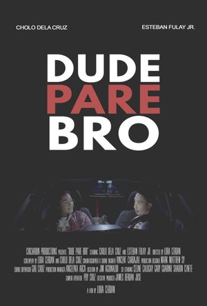 Dude Pare Bro's poster