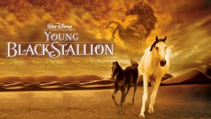 The Young Black Stallion's poster