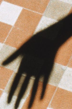 ipsa (I watched the Moon around the House)'s poster image