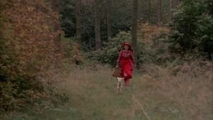 Bye bye chaperon rouge's poster