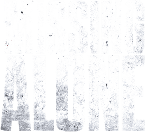 Missing and Alone's poster