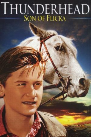 Thunderhead: Son of Flicka's poster